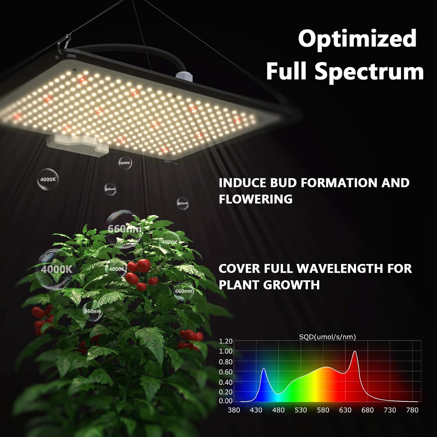 Upgrade Integrated Auto Grow T - Grow Tent Complete Kit review and price