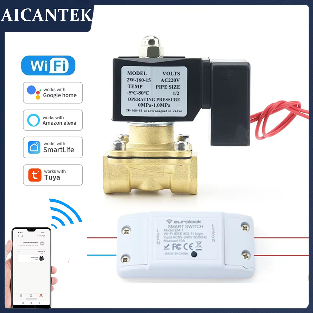 AC220V Tuya WiFi Smart Solenoi - Smart Garden Instructions review and price