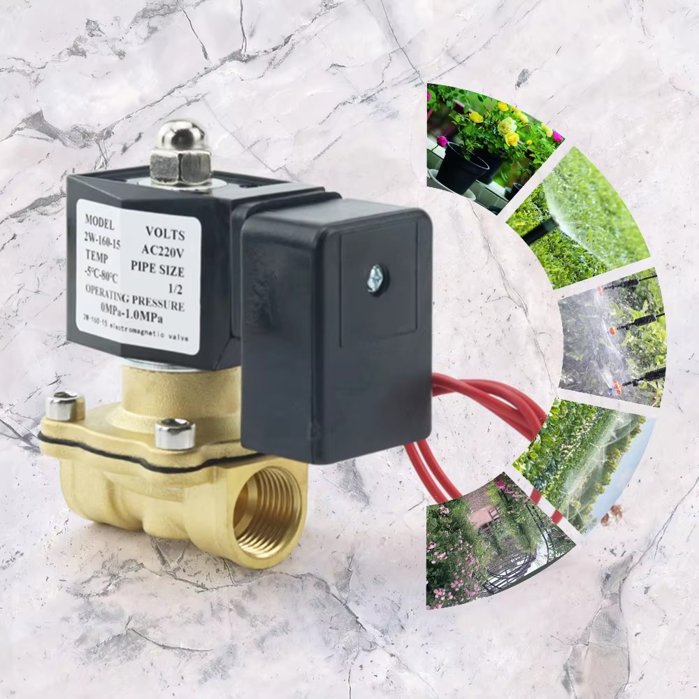 AC220V Tuya WiFi Smart Solenoi - Smart Garden Instructions review and price