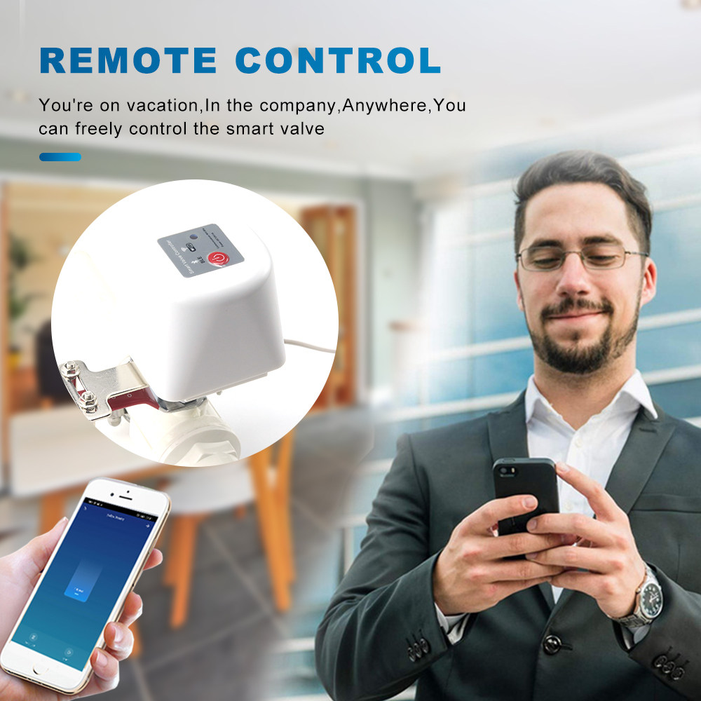 Tuya Smart Wifi Gas Manipulato - Smart Garden Instructions review and price