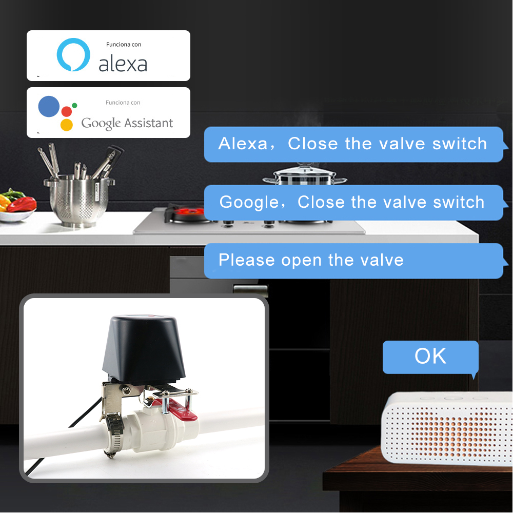 Zigbee Smart Gas Valve WIFI Ga - Smart Garden Instructions review and price