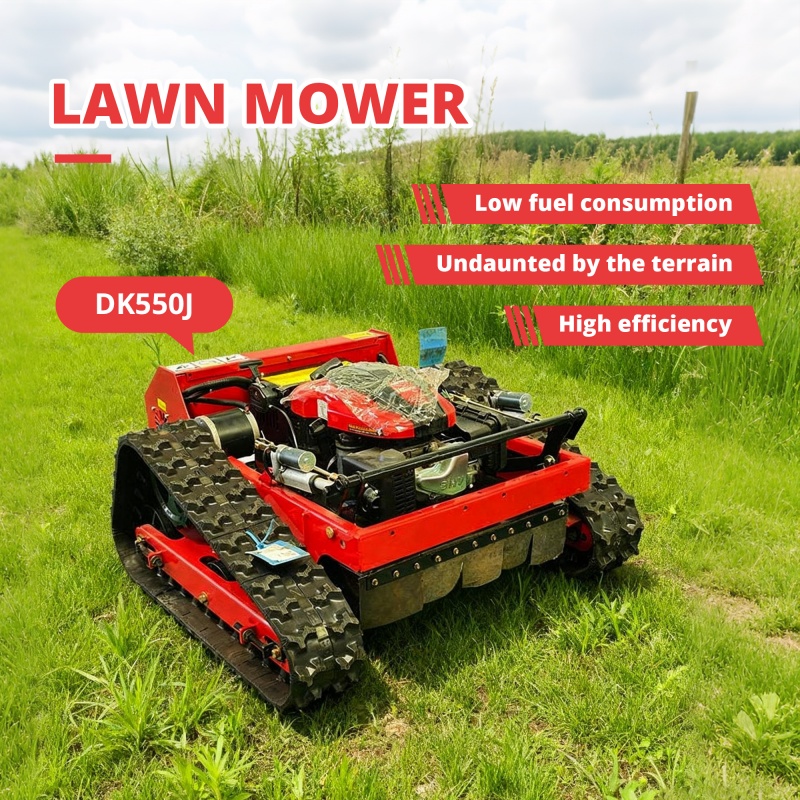 Customized Remote-Controlled C - Smart Garden Gadgets review and price