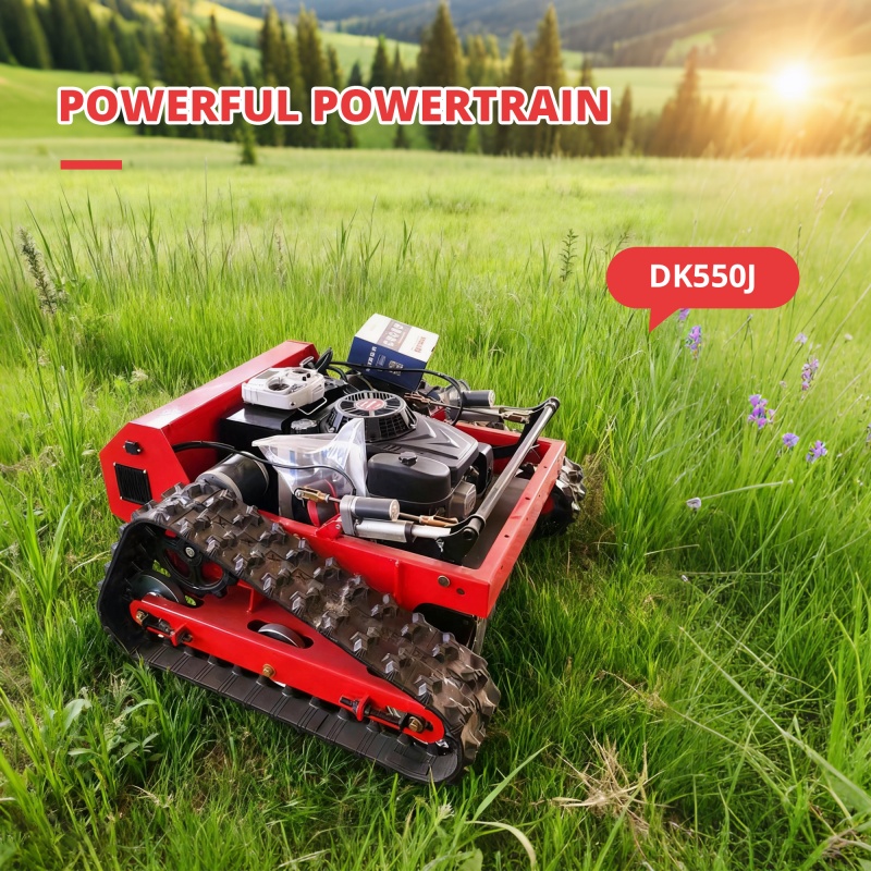 Customized Remote-Controlled C - Smart Garden Gadgets review and price